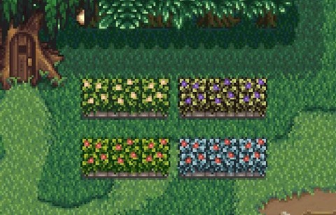 星露谷物语枫树什么