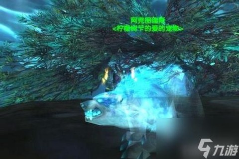 魔兽世界怎么仍宠物