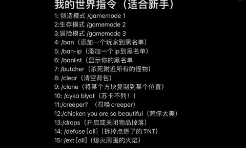 我的世界怎么设置家的指令[图2]