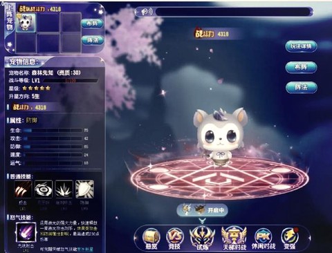 qq飞车买什么宠物好[图1]