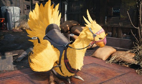 最终幻想14陆行鸟怎么获得[图2]