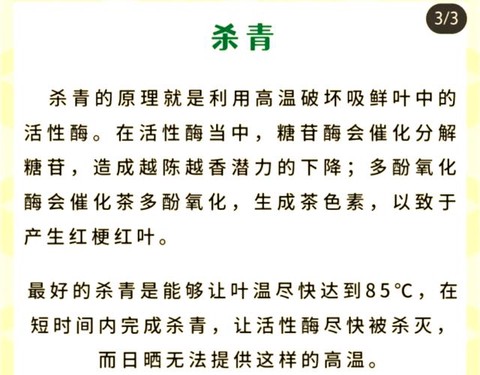 九阴真经绿茶怎么加工[图2]