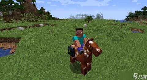 我的世界窟窿马怎么骑[图2]