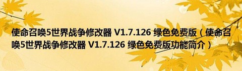 使命召唤5修改器怎么用