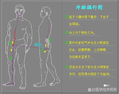 九阴真经冲脉怎么开[图2]