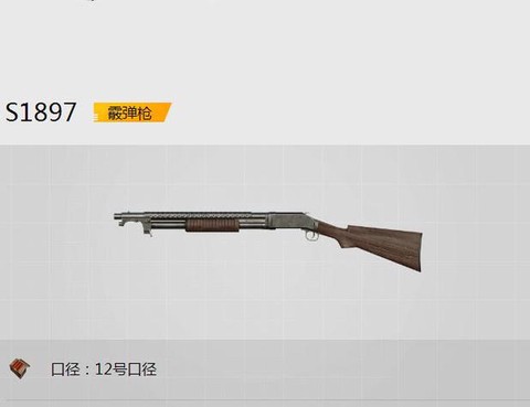 绝地求生什么喷子好用[图2]