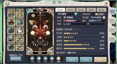 魔力宝贝道具用什么宠[图2]