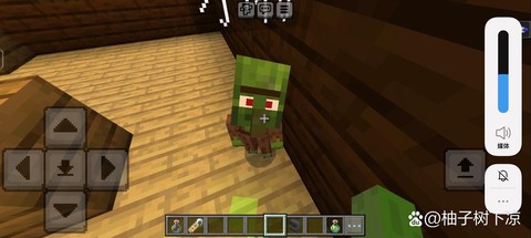 我的世界怎么训练僵尸[图2]