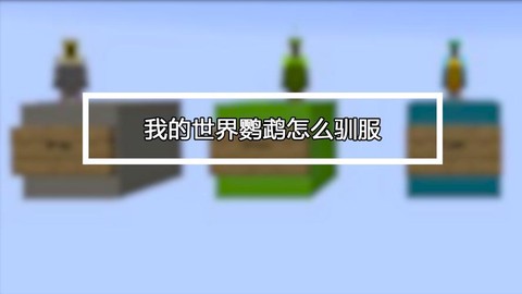 我的世界如何驯服鹦鹉