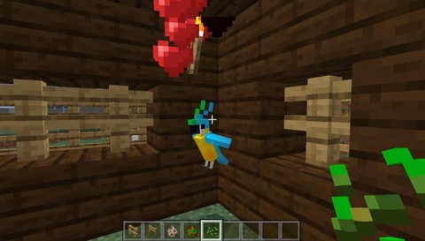 我的世界如何驯服鹦鹉[图1]