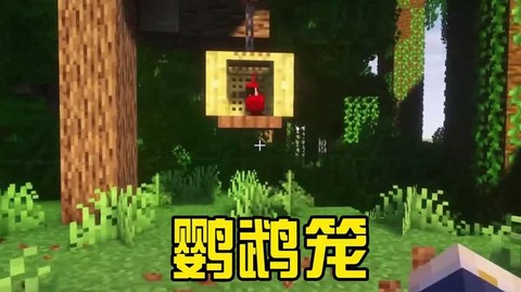 我的世界如何驯服鹦鹉[图2]