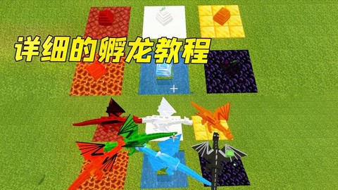 我的世界怎么敷龙蛋[图2]