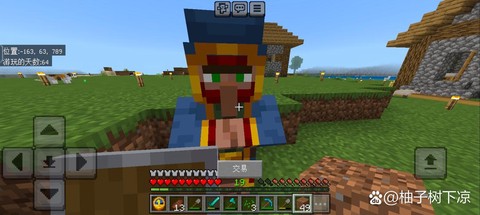 我的世界如何驯服村民